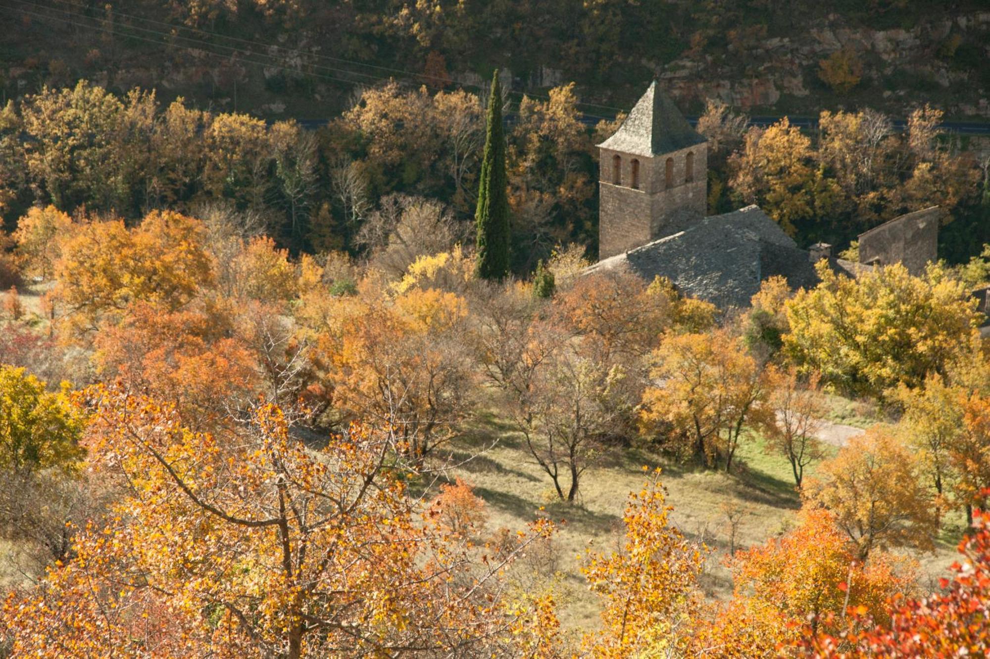 Le Colombier Saint-Veran La Roque-Sainte-Marguerite Eksteriør billede