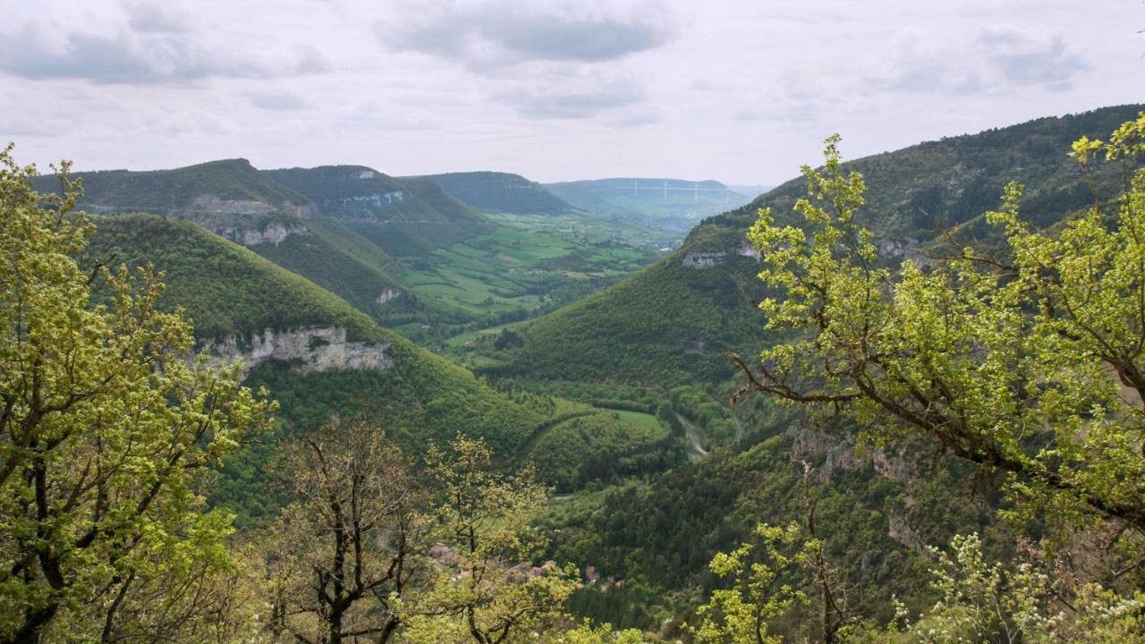 Le Colombier Saint-Veran La Roque-Sainte-Marguerite Eksteriør billede