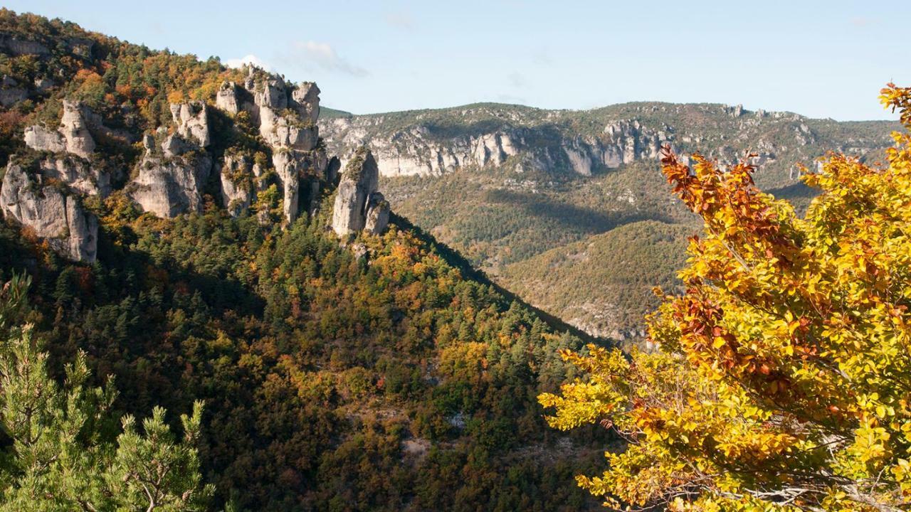 Le Colombier Saint-Veran La Roque-Sainte-Marguerite Eksteriør billede